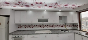 �i�ekler ve G�ller